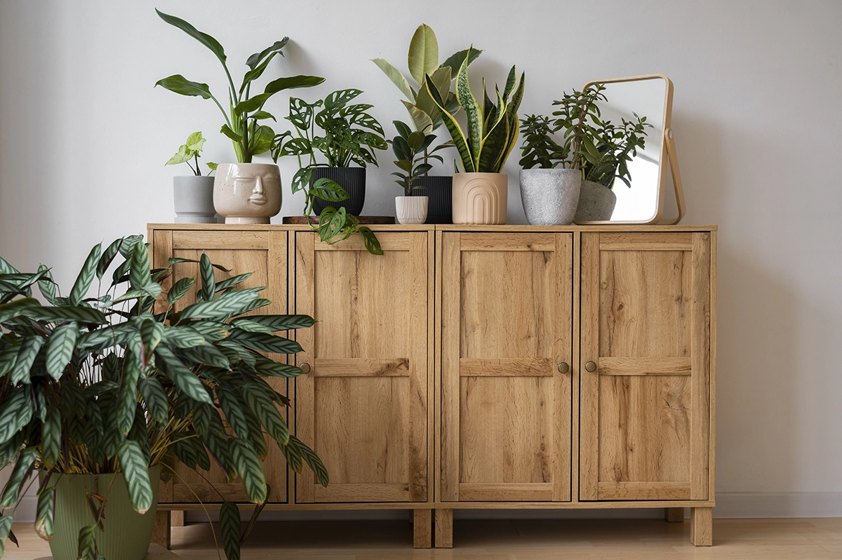 Why Teak Wood is Perfect for Outdoor Furniture- Top 13 reasons